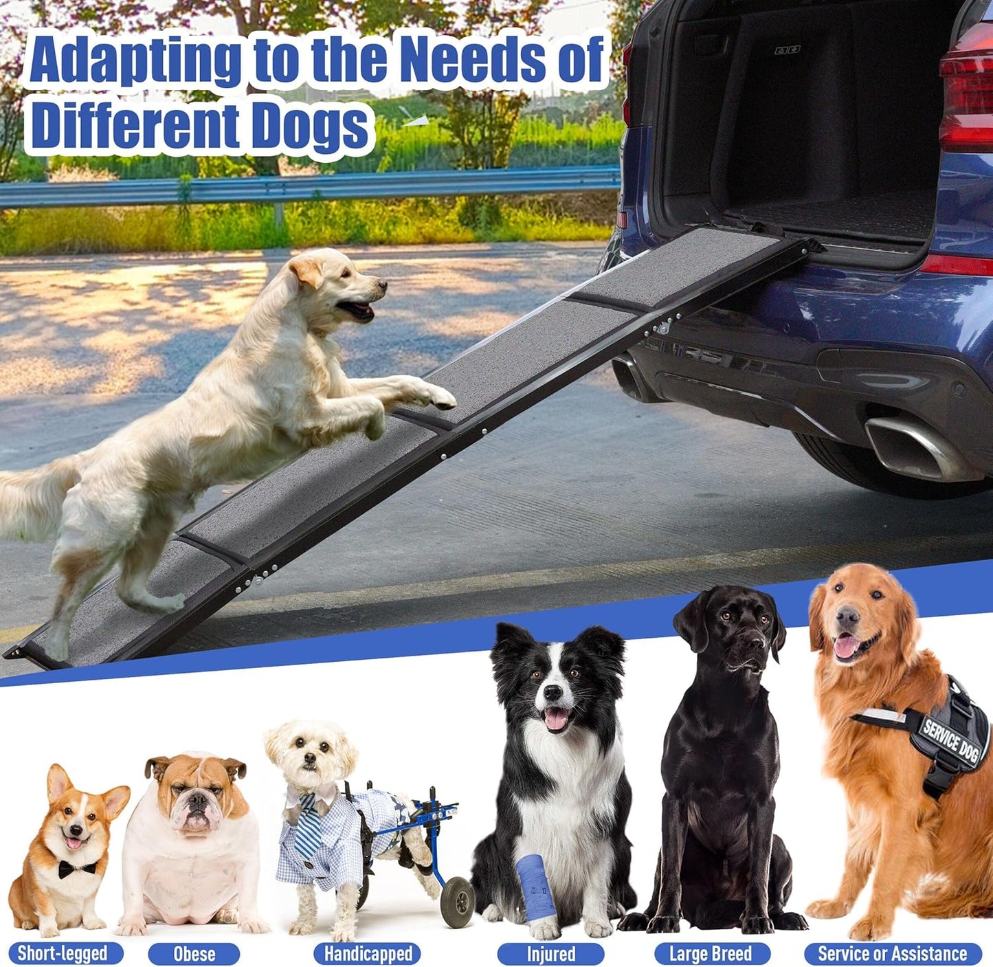 BACOENG, Rampa para perros, p/coche, Plegable, Antideslizante.