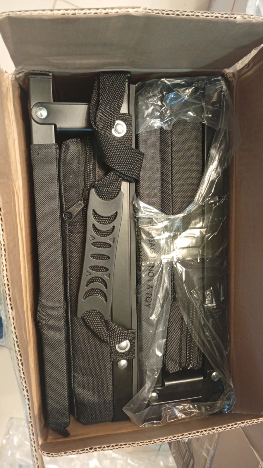 Asientos de estadio para gradas con soporte trasero y cojín.