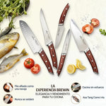 Juego de 5 cuchillos de chef japoneses, Brewin CHEFILOSOPHI