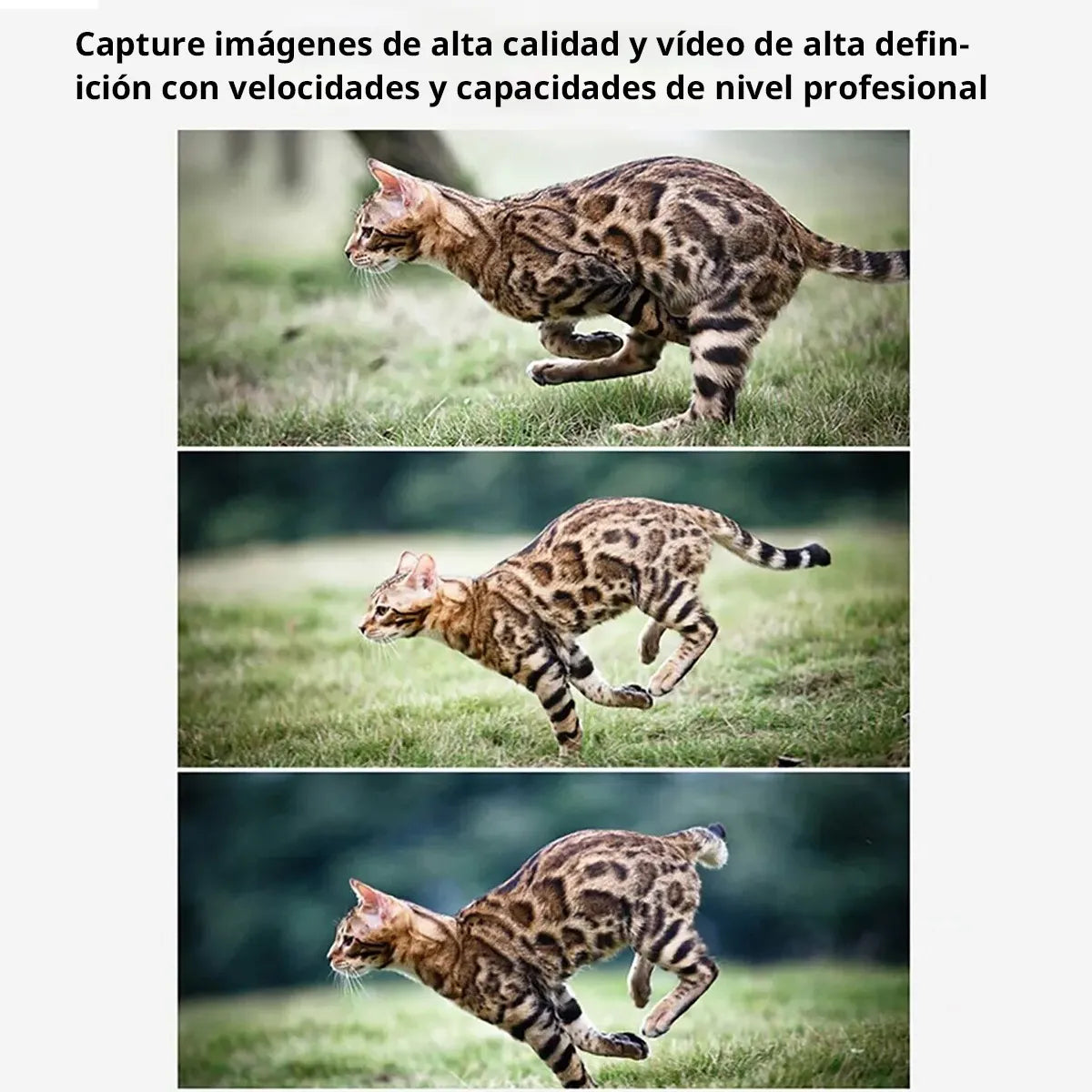 Tarjeta de memoria SanDisk Extreme Pro, 256 GB,  SDXC UHS-I.