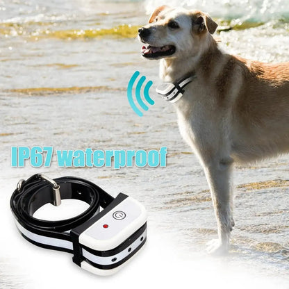 Collares de entrenamiento JustPet Valla Inalámbrica. (2 pack)