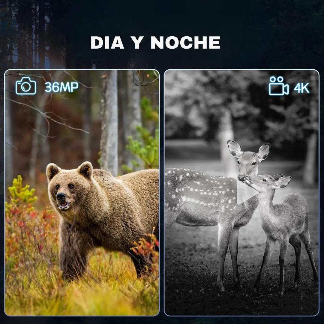 Binocular Digital De Visión Nocturna Profesional 36mp