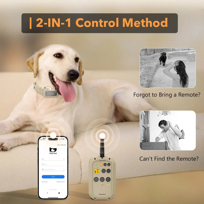 Pat Pet Collares de Entrenamiento Para Perros Con Control De Aplicación.