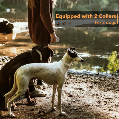 Pat Pet Collares de Entrenamiento Para Perros Con Control De Aplicación.