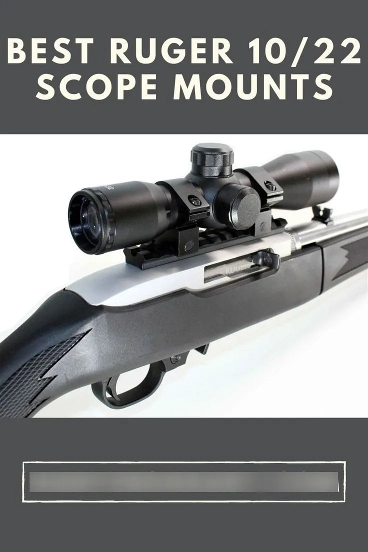 Montaje en riel Picatinny Ruger 10/22 para miras deportivas.