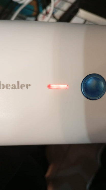 Vaporizador de mano para ropa, Newbealer, planchado en seco, portátil.