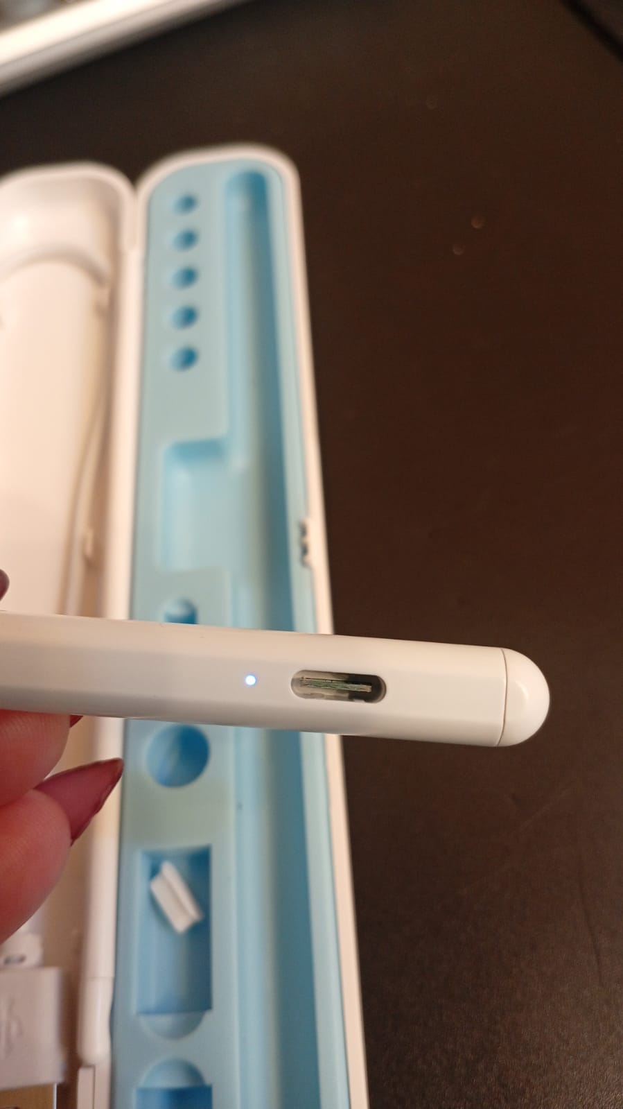 Lápiz óptico para iPad Apple, 5th, 4th, 3rd, 11 y 13" con estuche.