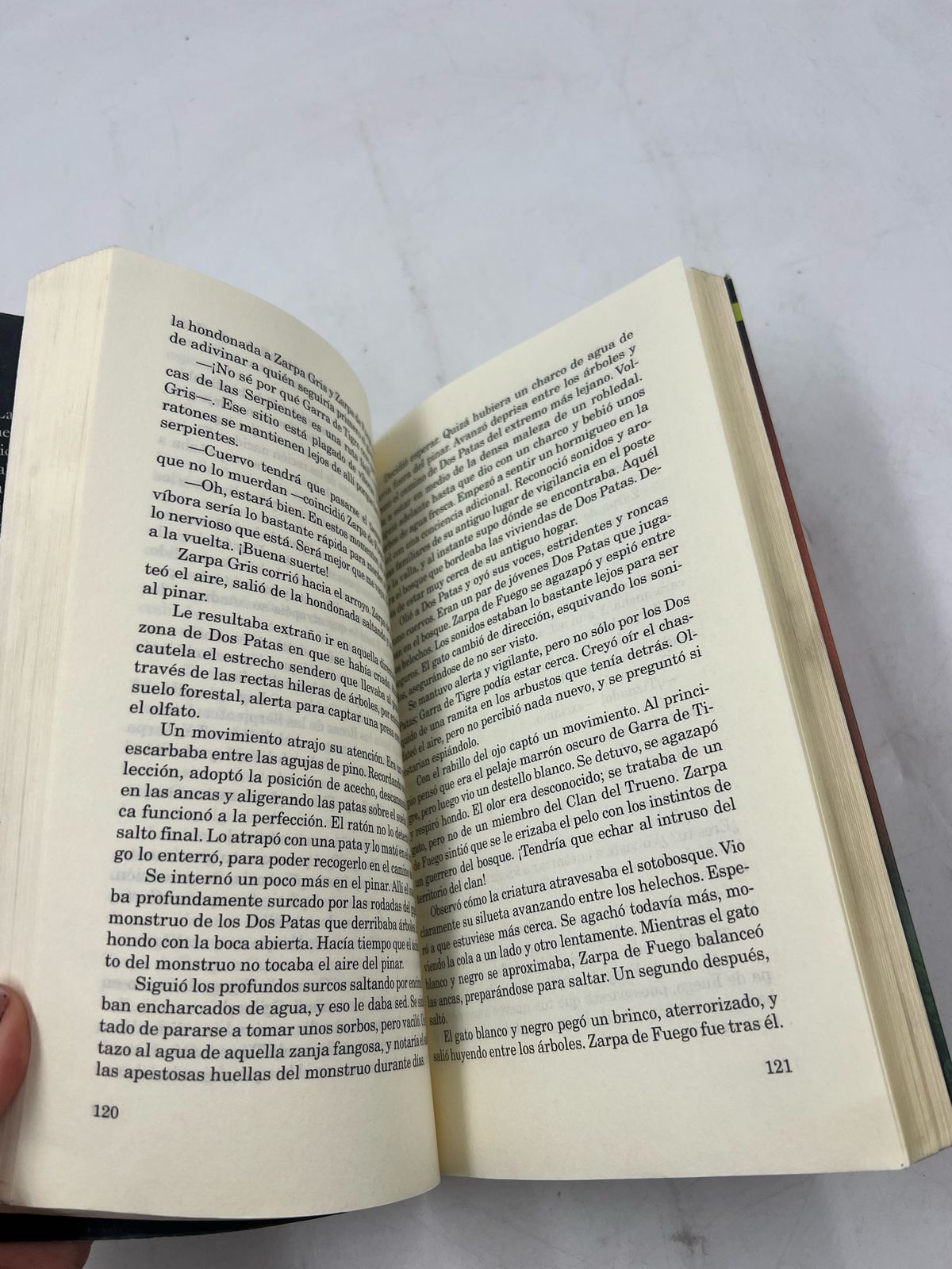 Los gatos guerreros en territorio salvaje (USADO)