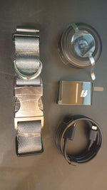 Collar inteligente para perro, Fi Series 3, GPS y alertas de escape.(L)