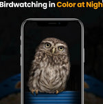 Bird Feeder con Camara AI Solar VINGUYS 2.5K UHD (USADO)