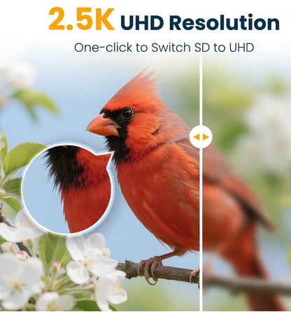 Bird Feeder con Camara AI Solar VINGUYS 2.5K UHD (USADO)