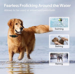 Collares de choque para perros, UVZSDA, con control remoto.