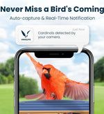Bird Feeder con Camara AI Solar VINGUYS 2.5K UHD (USADO)