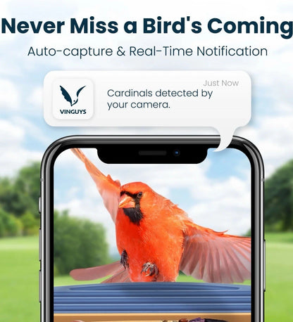 Bird Feeder con Camara AI Solar VINGUYS 2.5K UHD (USADO)