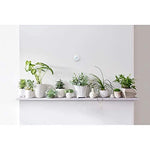 Termostato Google Nest E Pro Edition