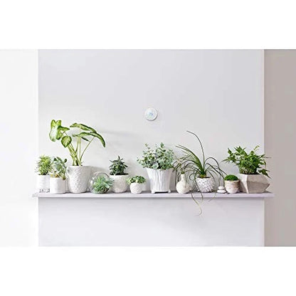 Termostato Google Nest E Pro Edition