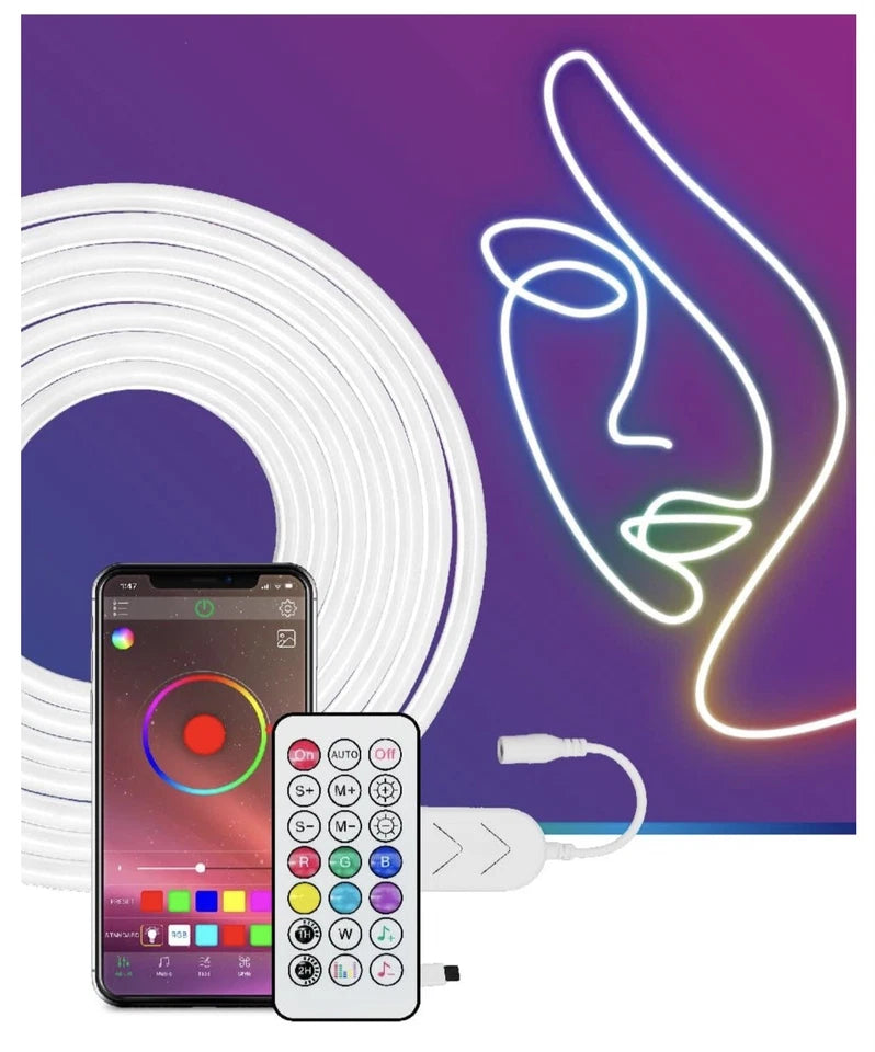 Luz de cuerda LED RGB-IC, neon con control remoto