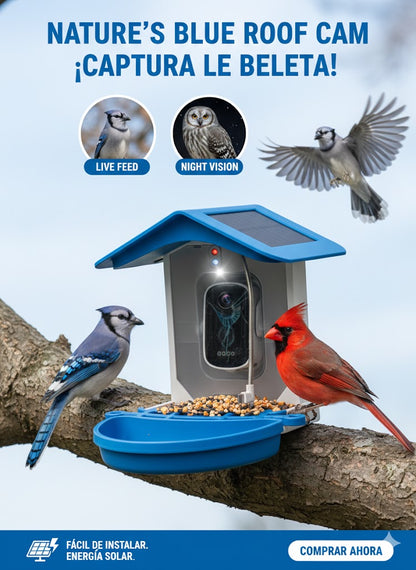 Camara Inteligente AI Q40 para Comedero Pajaros Wifi
